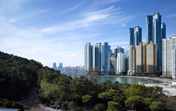 부산 5성급 호텔 해운대 웨스틴조선 (오킴스, 까밀리아, 라운지, 식당, 조식)